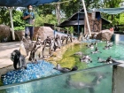 โครงการศึกษานอกสถานที่ “ป.4 : ท่องแดนมหัศจรรย์ในเขาเขียว” Image 73
